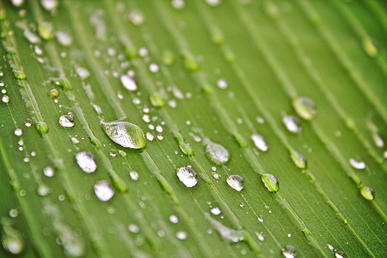 衡水水岸，揭秘城市發(fā)展的最新篇章，掌握最新資訊動態(tài)