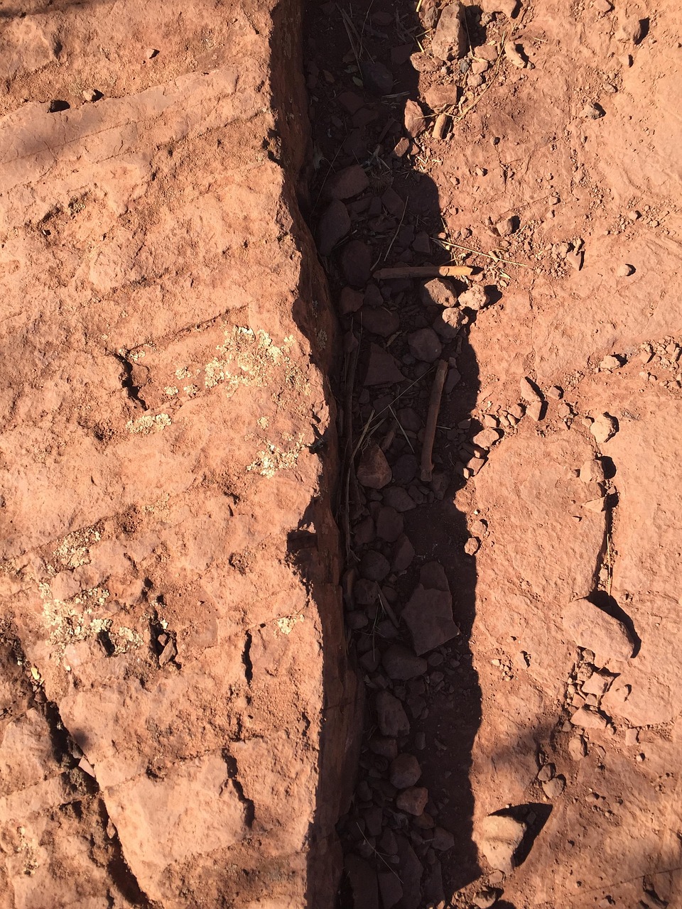 小瑞新動(dòng)態(tài)，探索未知，無(wú)限可能展未來(lái)