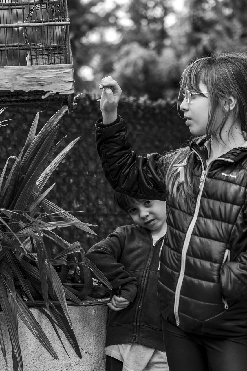 歐美色電影的探索與反思