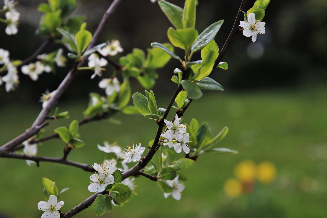 杞縣教師招聘最新動態(tài)，機(jī)遇與挑戰(zhàn)并存，教育事業(yè)蓬勃發(fā)展勢頭強(qiáng)勁