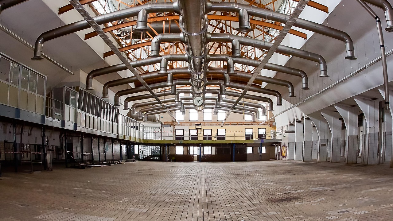 樂視最新動態(tài)，引領數(shù)字娛樂新時代的先鋒資訊