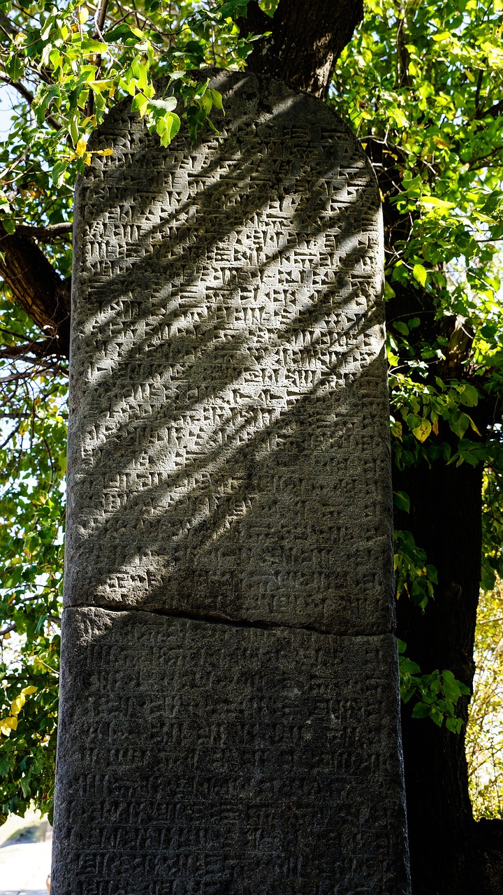 王者世冠最新動(dòng)態(tài)，榮耀之巔的英雄之戰(zhàn)