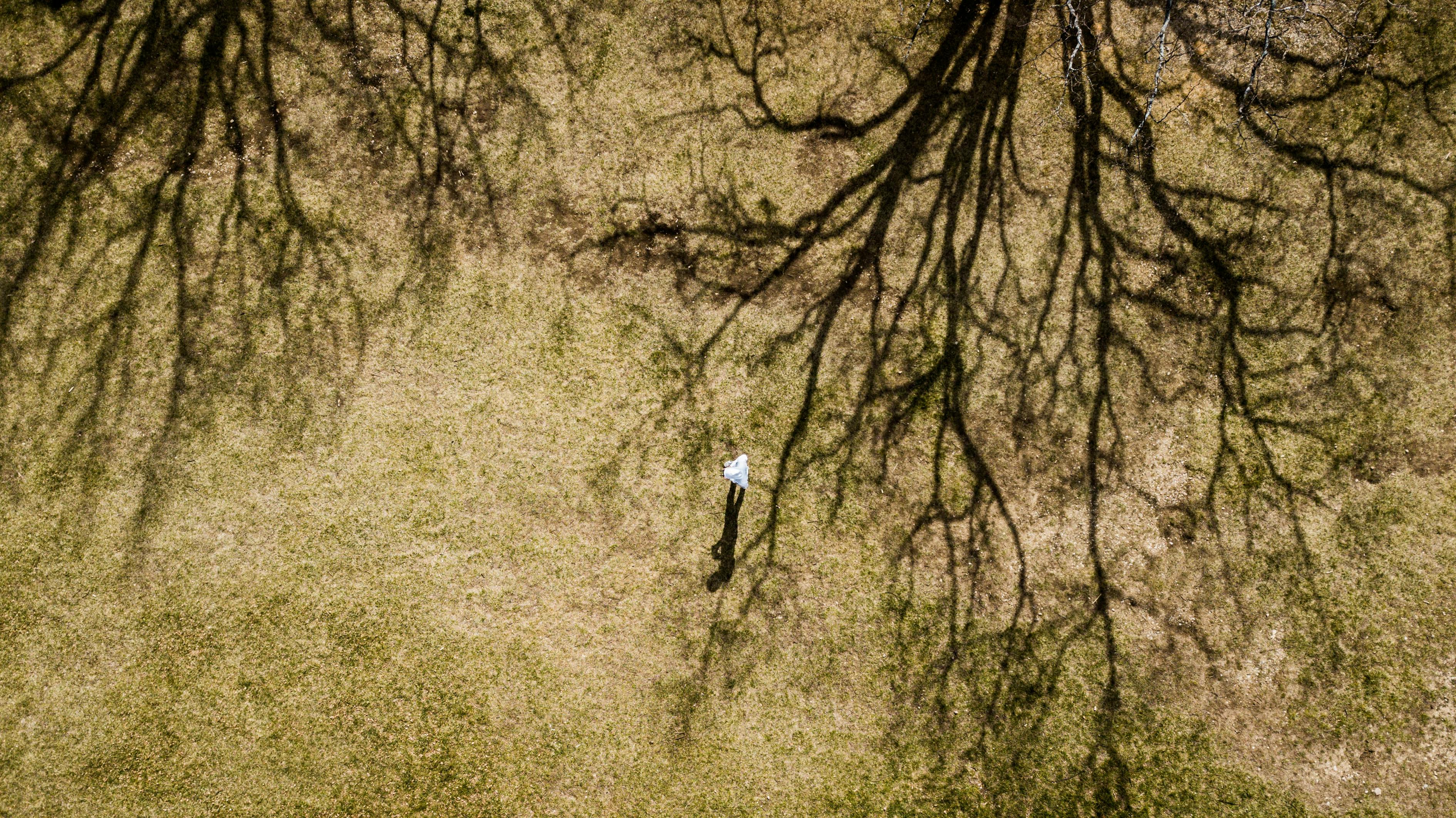 漢語(yǔ)新聞速遞，時(shí)代變遷的探索與新聞動(dòng)態(tài)的洞悉