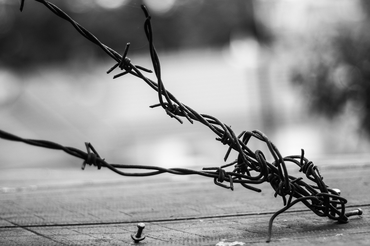 底線電影，探尋藝術邊界與深度之旅