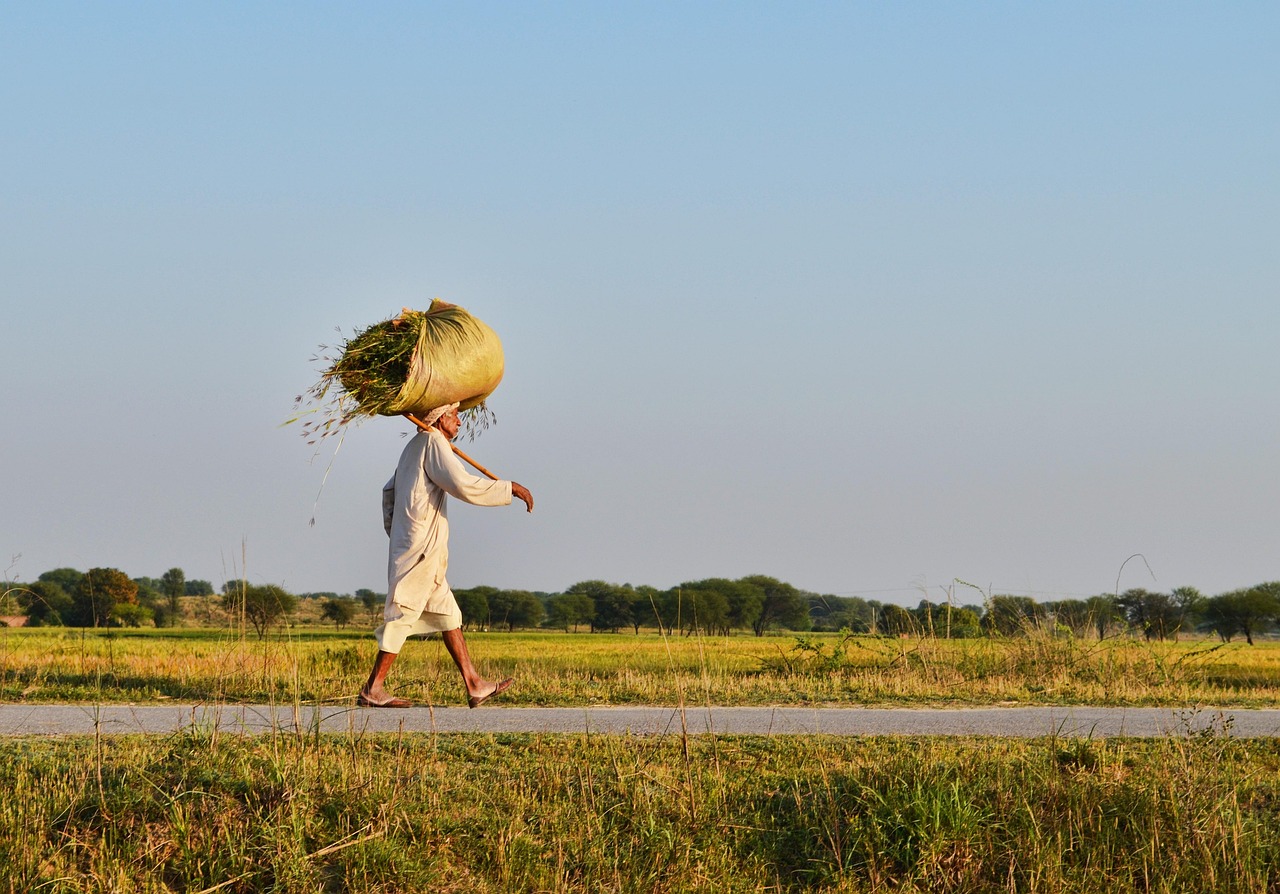 電視劇像小朵一樣，生活的啟示與感悟