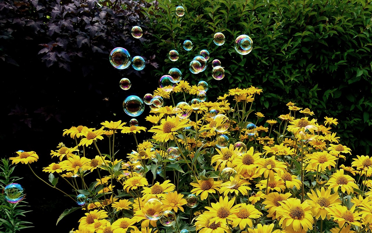 2025年2月 第71頁