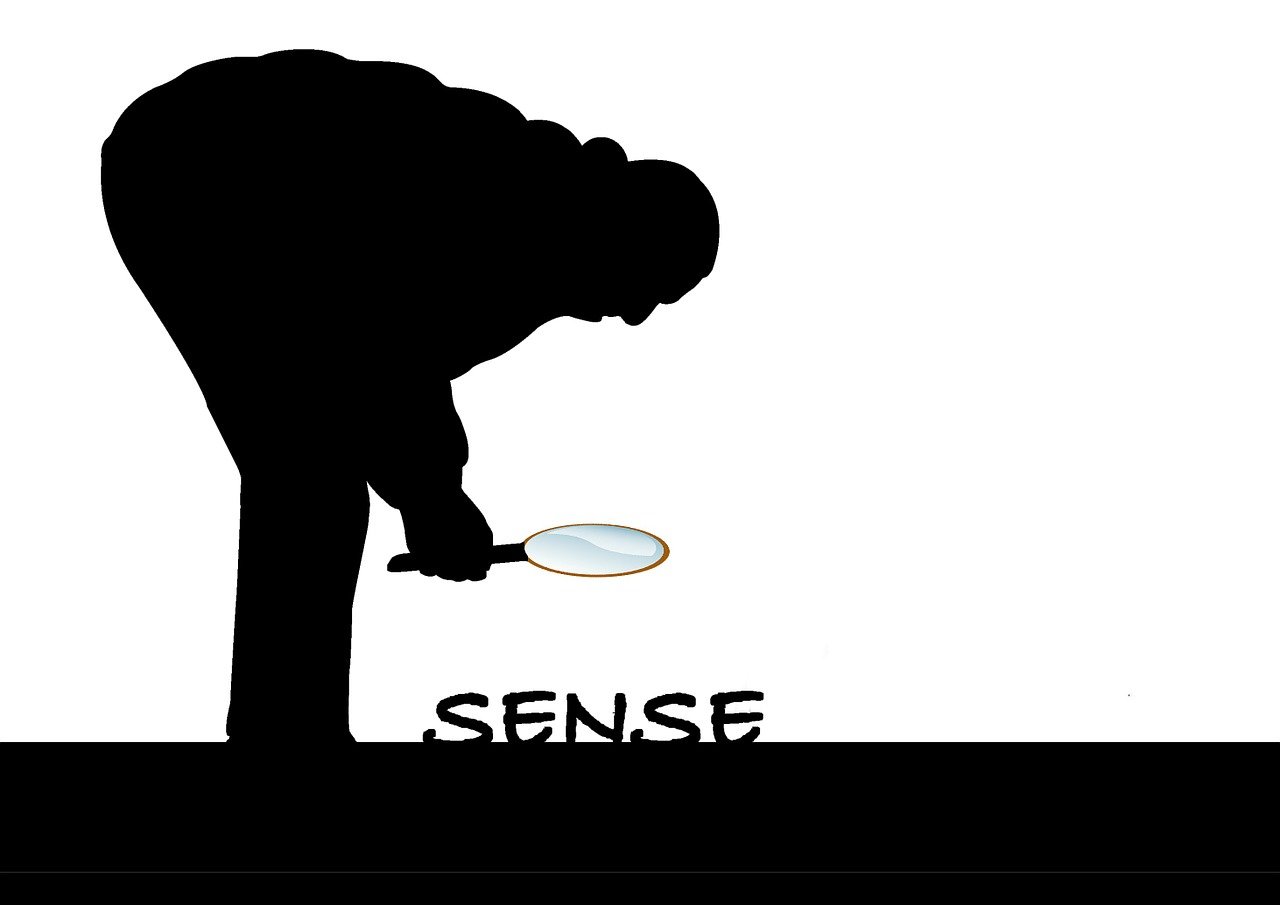 獨特的觀影態(tài)度背后的文化反思，對電影的誤解與自我探索