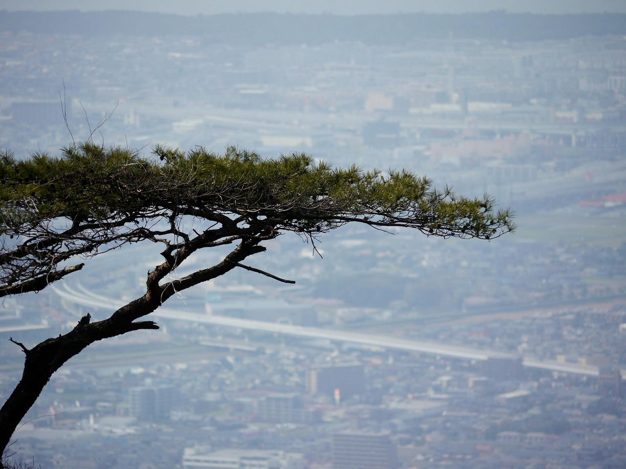 張一山演藝之路新篇章，最新動(dòng)態(tài)揭秘！