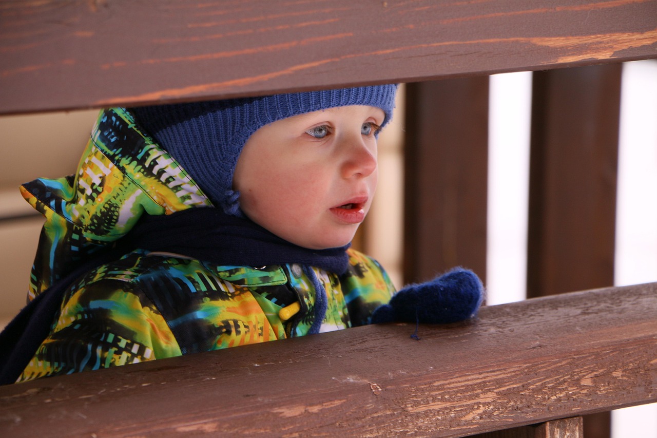 貴州茅臺酒每日行情分析與市場動態(tài)