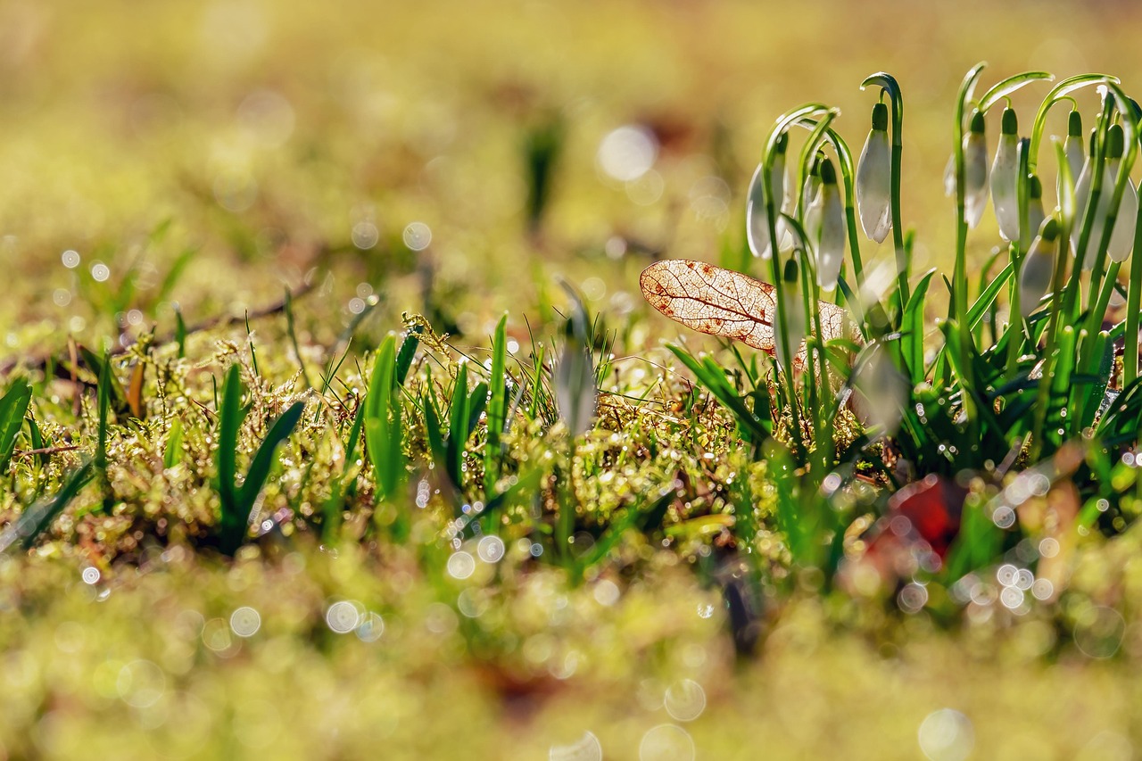 百天風(fēng)采照記錄生命美好瞬間，留下珍貴回憶的痕跡