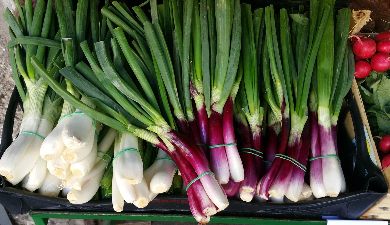 山東西葫蘆今日價(jià)格與市場(chǎng)行情分析