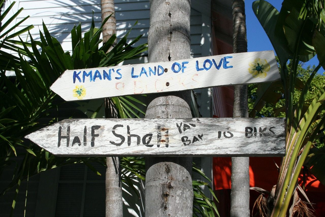 北美最新影片推薦，不容錯(cuò)過的影視盛宴，精彩紛呈的視覺盛宴