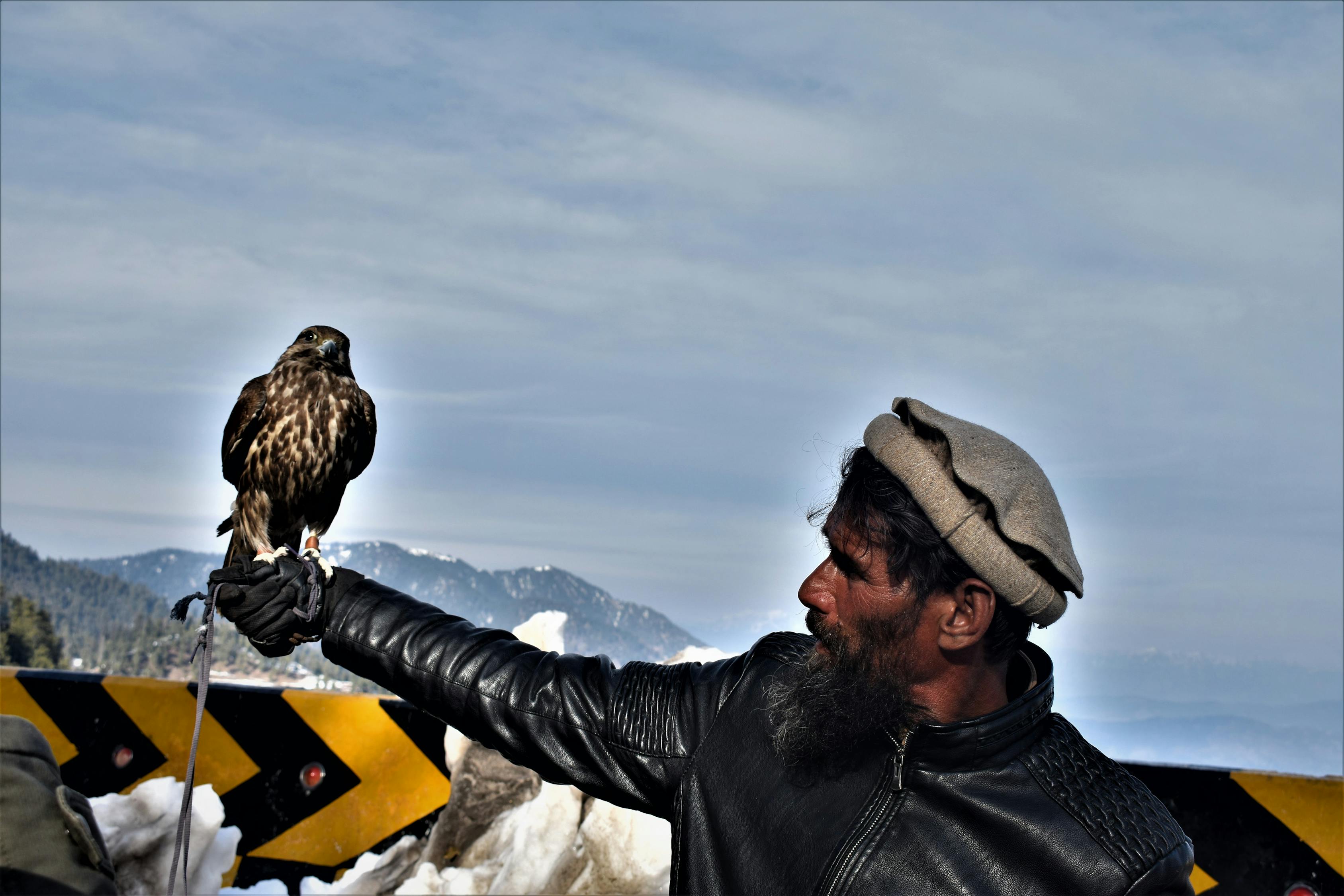 末世狂飆戰(zhàn)車最新篇章，未知領域的生存挑戰(zhàn)探索