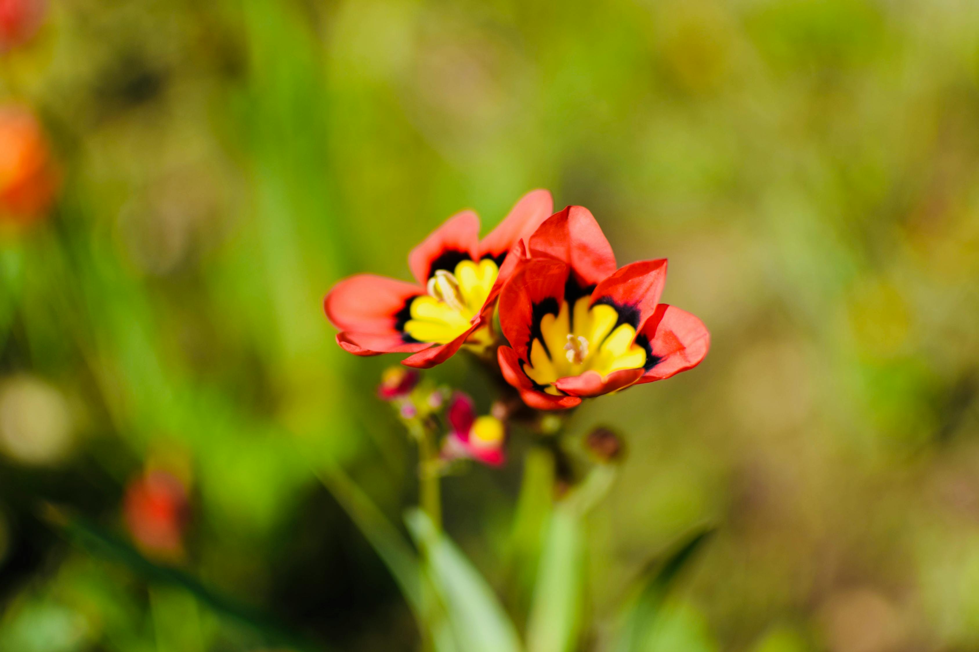 興化沙順發(fā)展動態(tài)最新消息