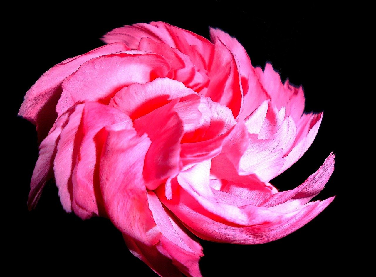 紅珊瑚電影，探索光影交織的藝術(shù)魅力