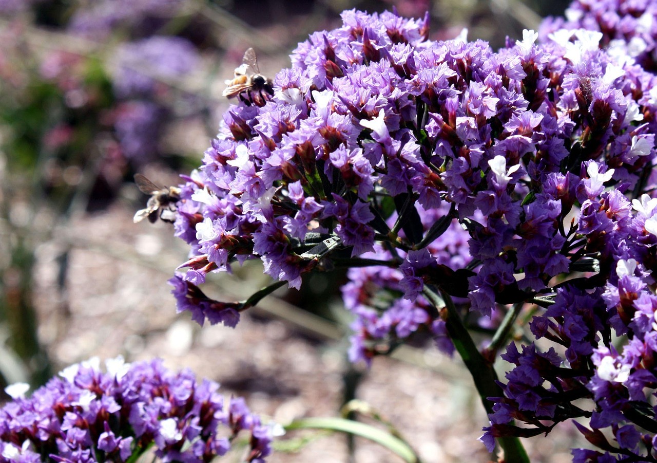 融金所最新安全動(dòng)態(tài)，保障用戶安全，穩(wěn)健金融生態(tài)建設(shè)之路