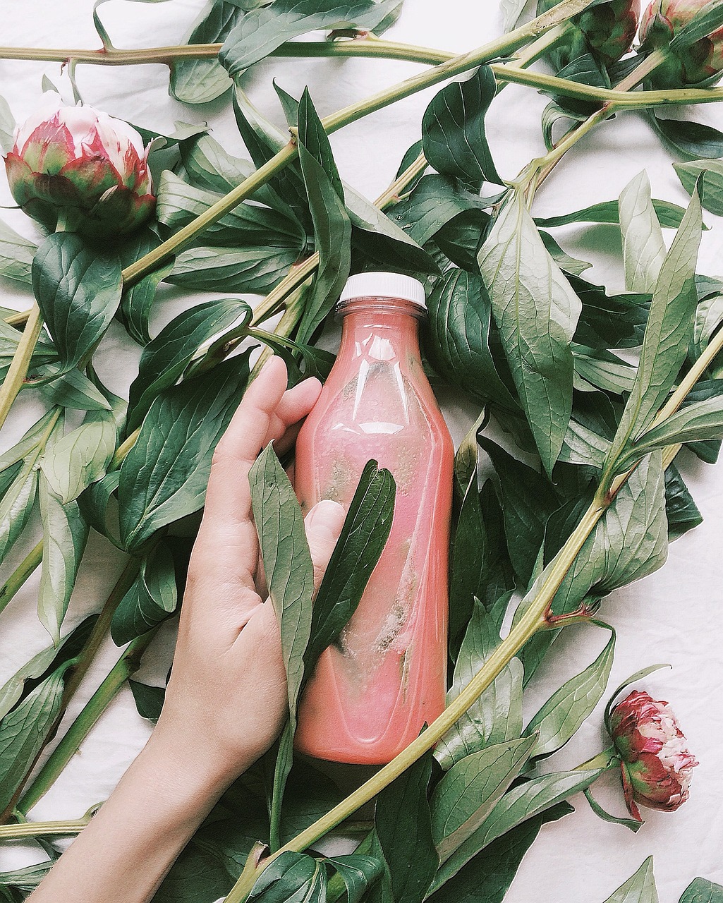 南通水果批發(fā)價格行情詳解與深度解析