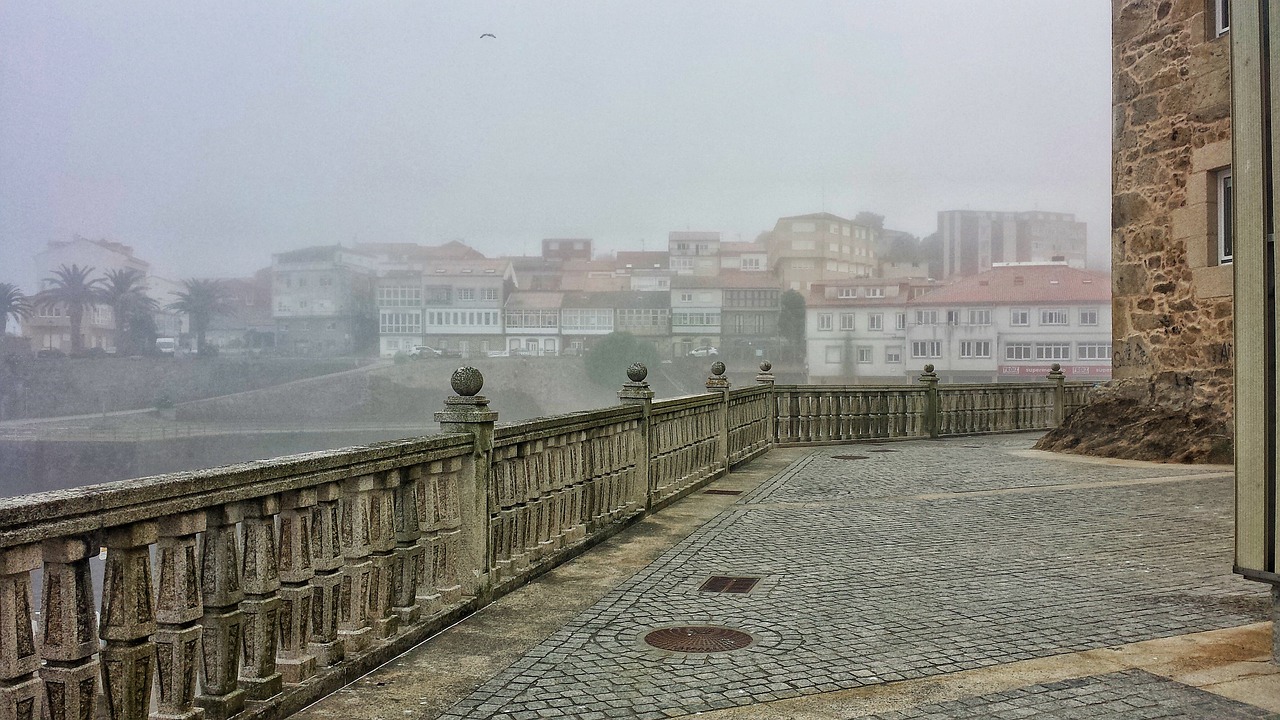 阜陽(yáng)房產(chǎn)最新開盤動(dòng)態(tài)及市場(chǎng)趨勢(shì)，購(gòu)房指南與最新動(dòng)態(tài)解析