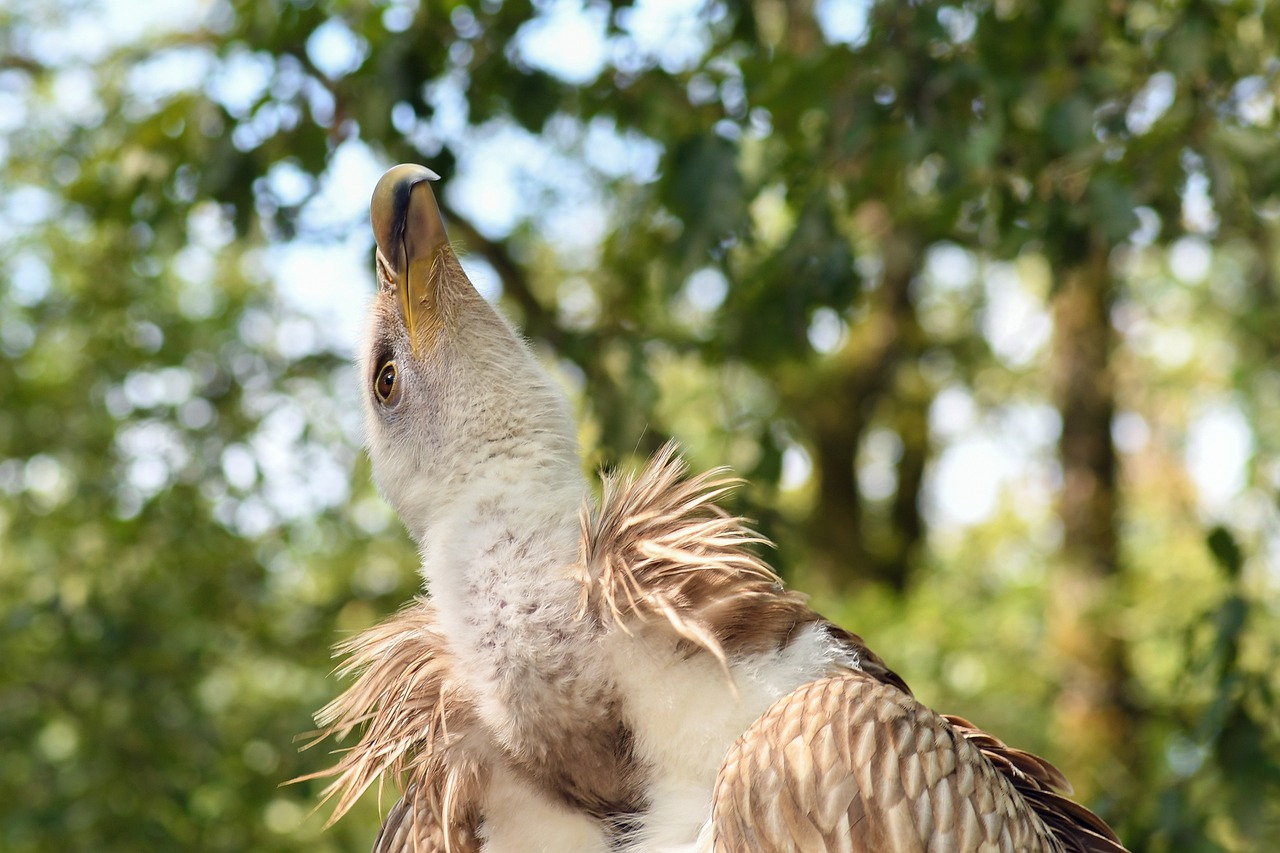 餓了么上市最新動(dòng)態(tài)及市場趨勢與前景展望