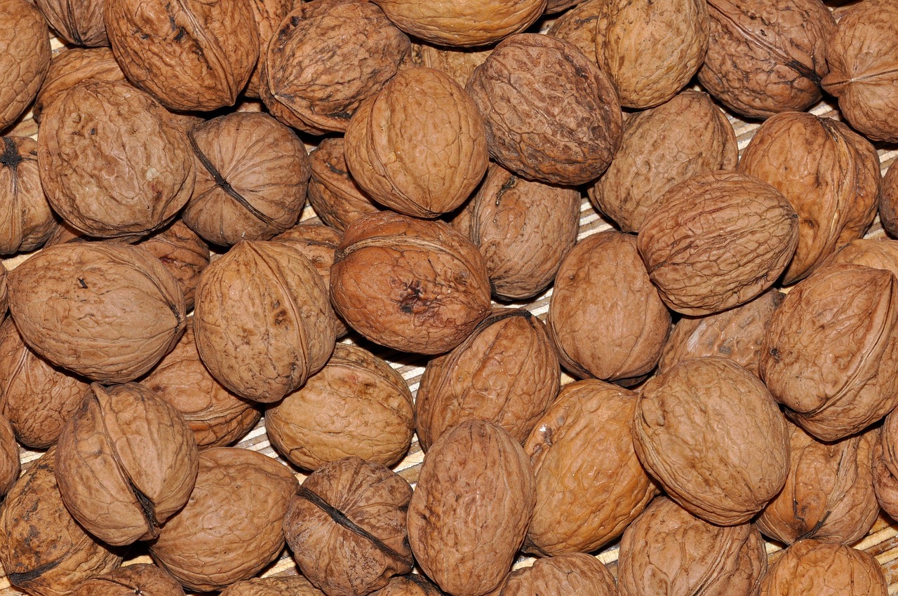 四棱核桃價格及圖片介紹