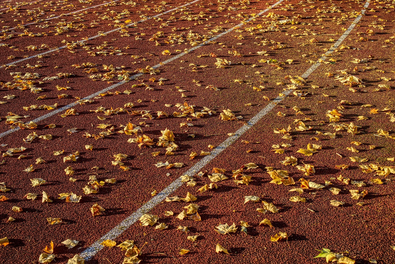 樅陽最新招聘動態(tài)與職業(yè)發(fā)展機遇深度探討