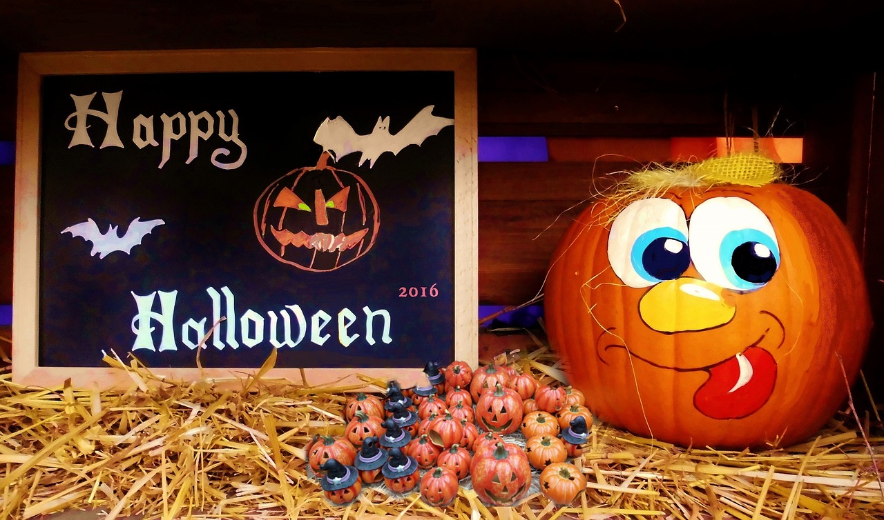 狐妖小紅娘最新動(dòng)態(tài)揭秘，奇幻世界的神秘之旅