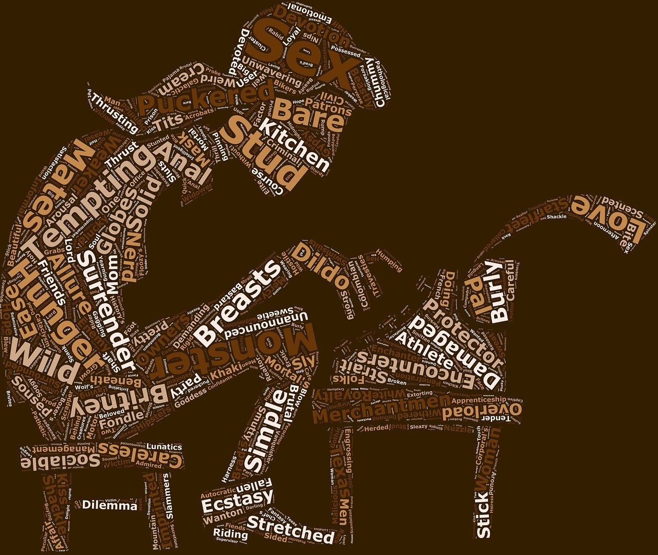 成人電影小說的多維度影像敘事藝術(shù)探索