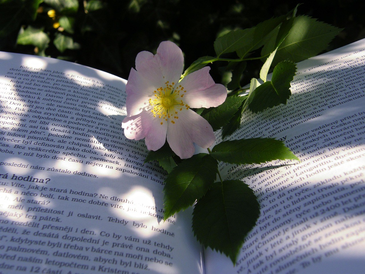 青春成長與情感交織，十七歲的雨季電影回顧