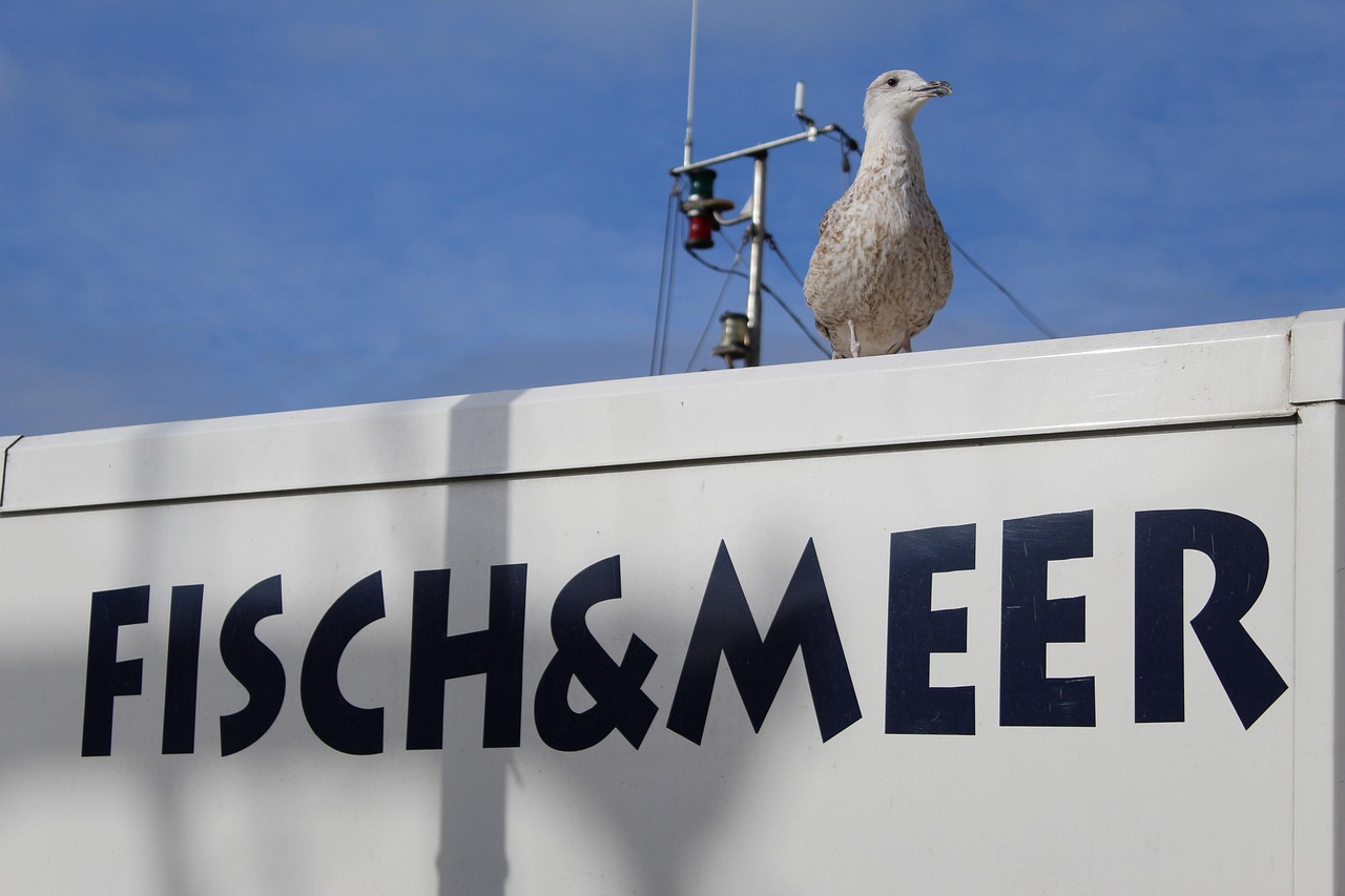 石家莊永昌蓄勢待發(fā)，展現(xiàn)新篇章的最新動態(tài)