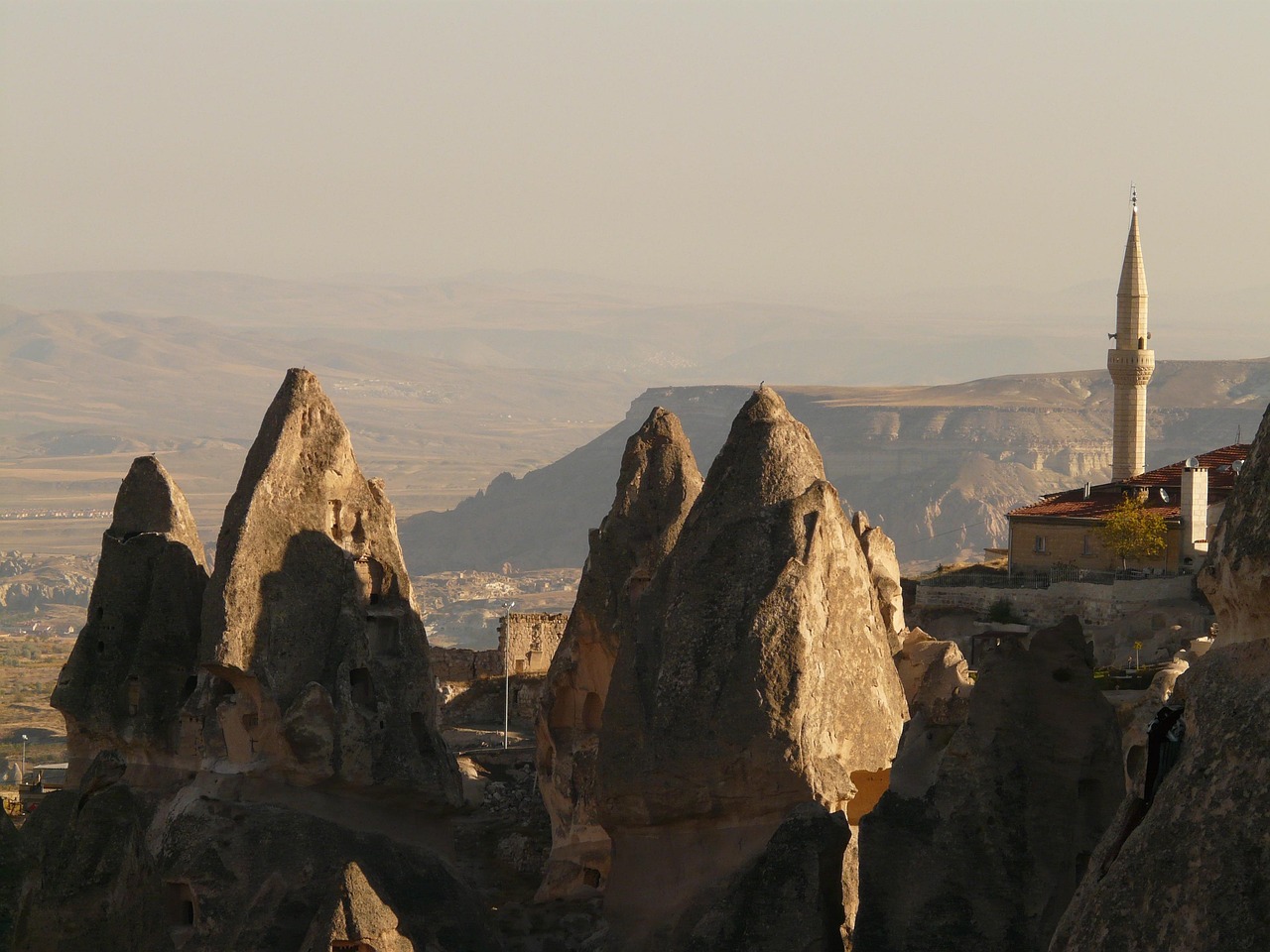 沈陽最新動態(tài)，城市發(fā)展的步伐與未來展望展望