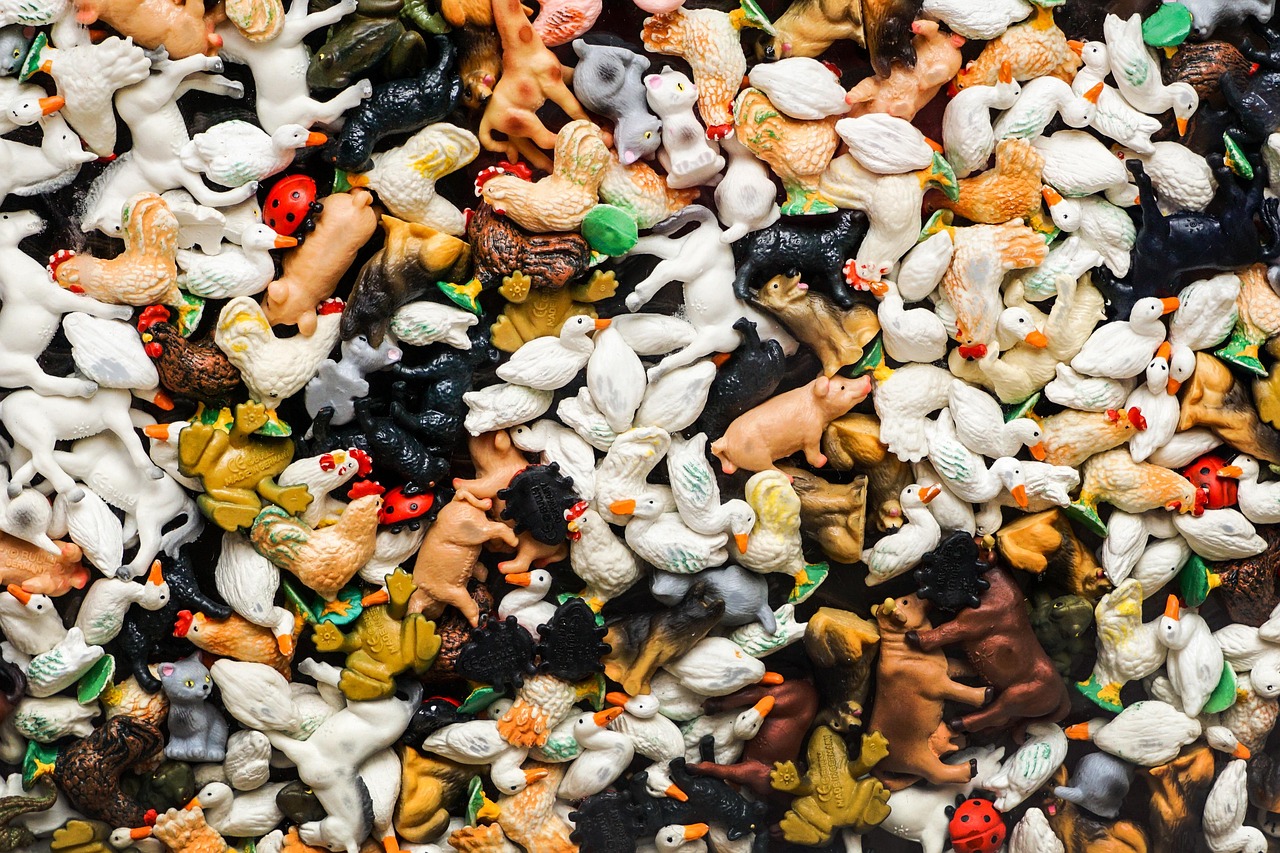 臺(tái)灣掛雞比賽，別開(kāi)生面的競(jìng)技盛宴