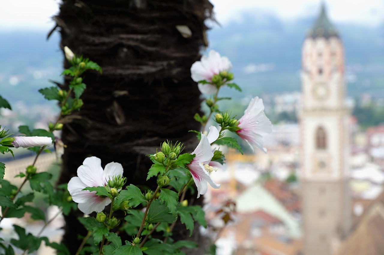 三月末的善心匯深度洞察，最新動(dòng)態(tài)與行動(dòng)展望