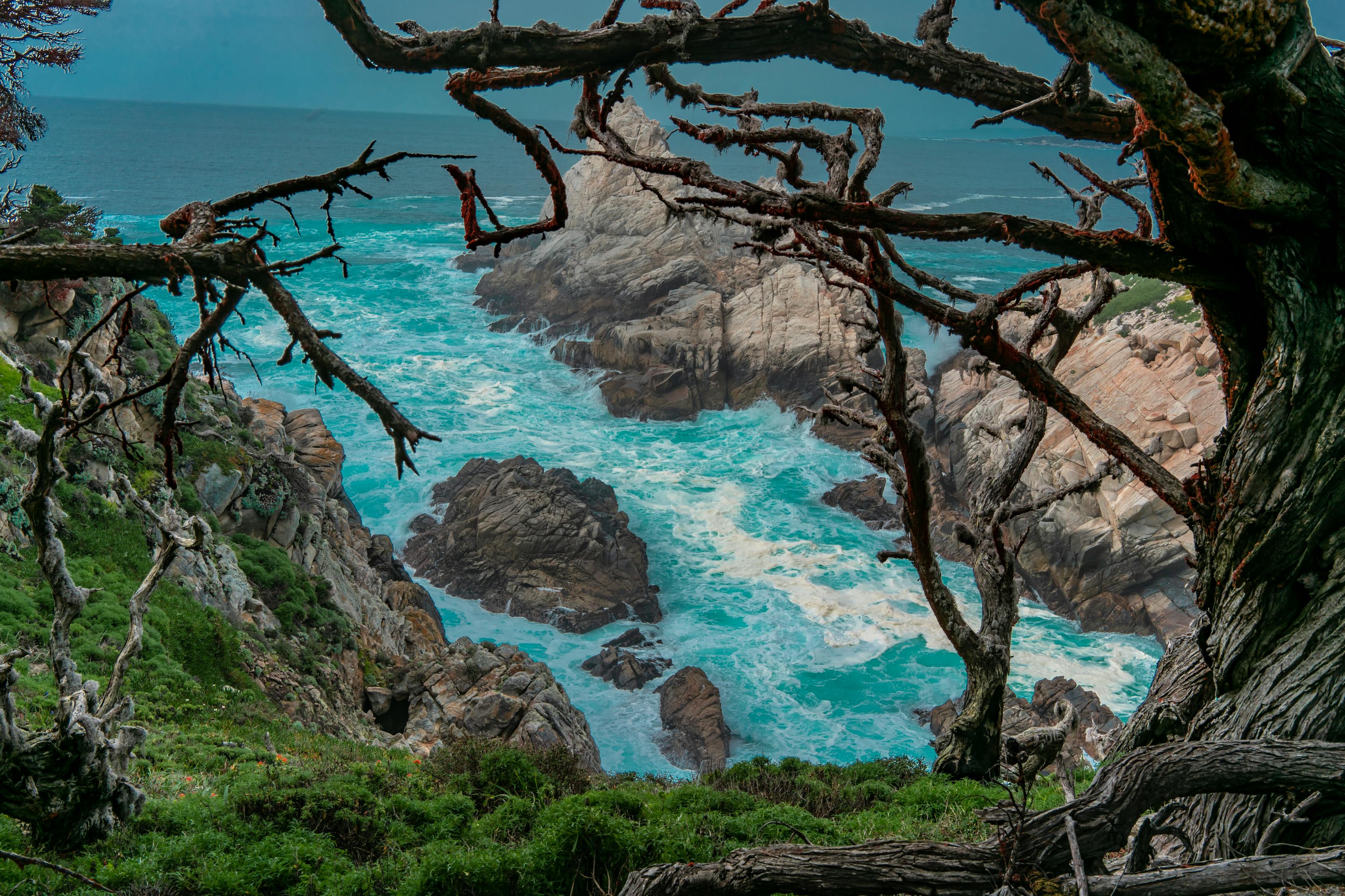 秋霞精選集，自然之美與藝術(shù)之韻的絕佳融合