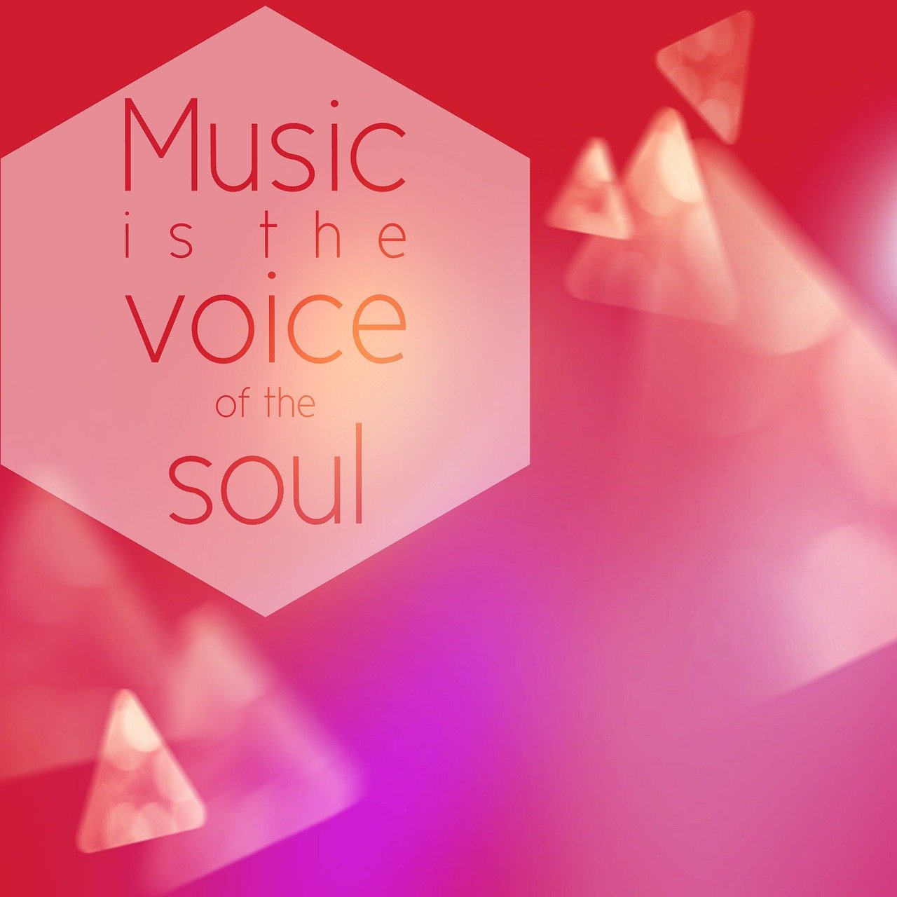 音樂盛宴，激情與藝術(shù)的交響主持詞回顧。