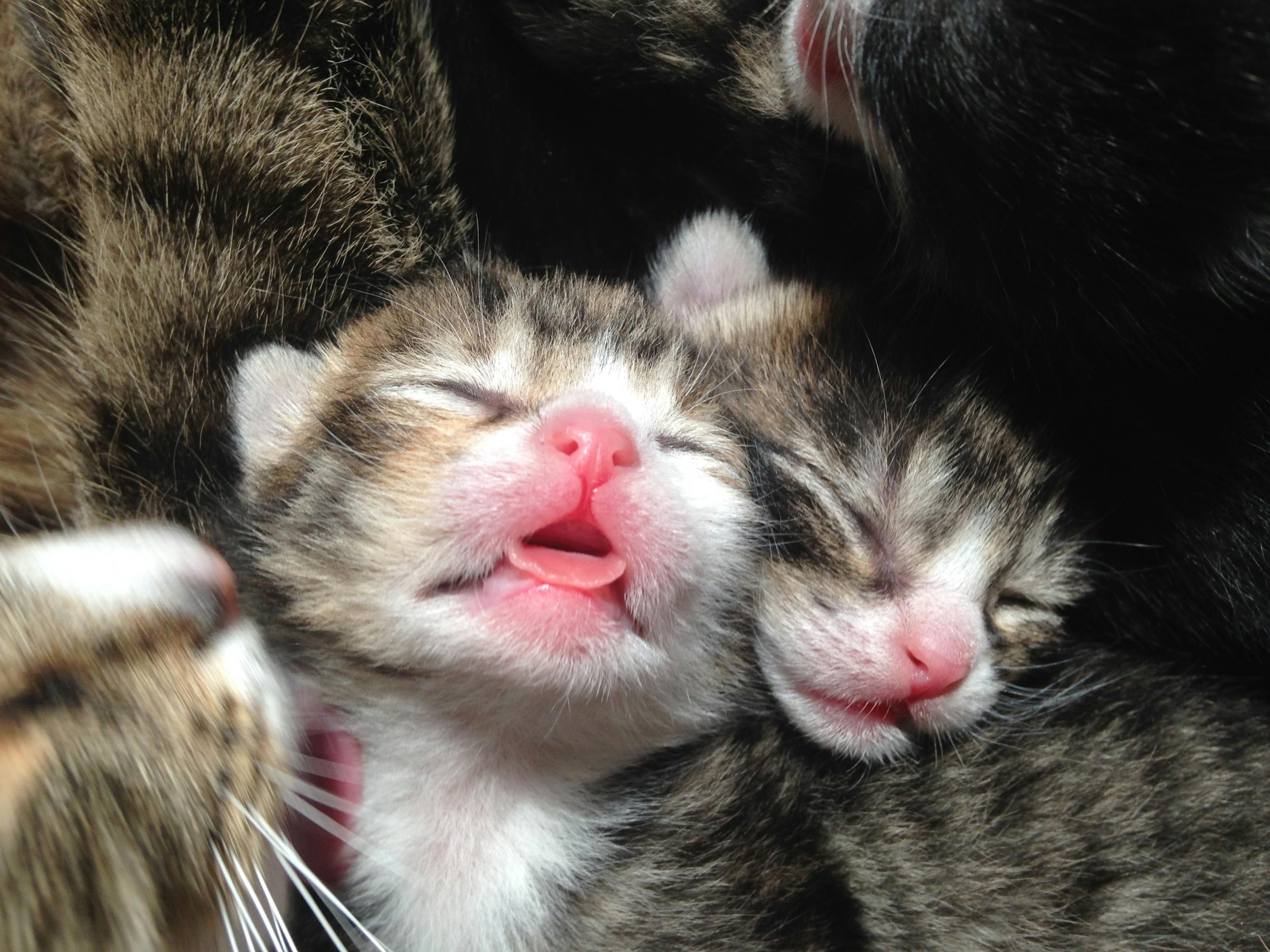 精選閨蜜頭像，記錄獨特友情的瞬間 2023最新更新