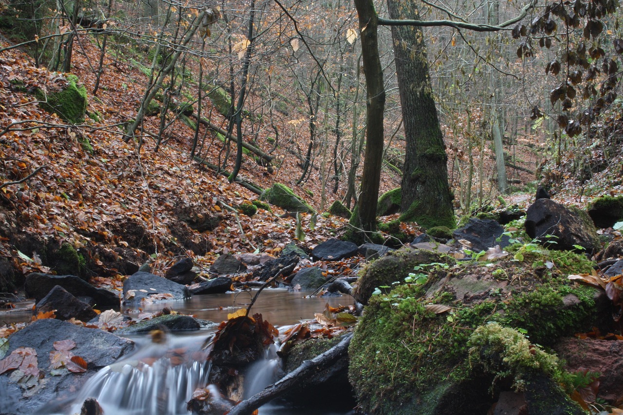 宋仲基最新動(dòng)態(tài)揭秘，揭開(kāi)明星生活的神秘面紗之旅