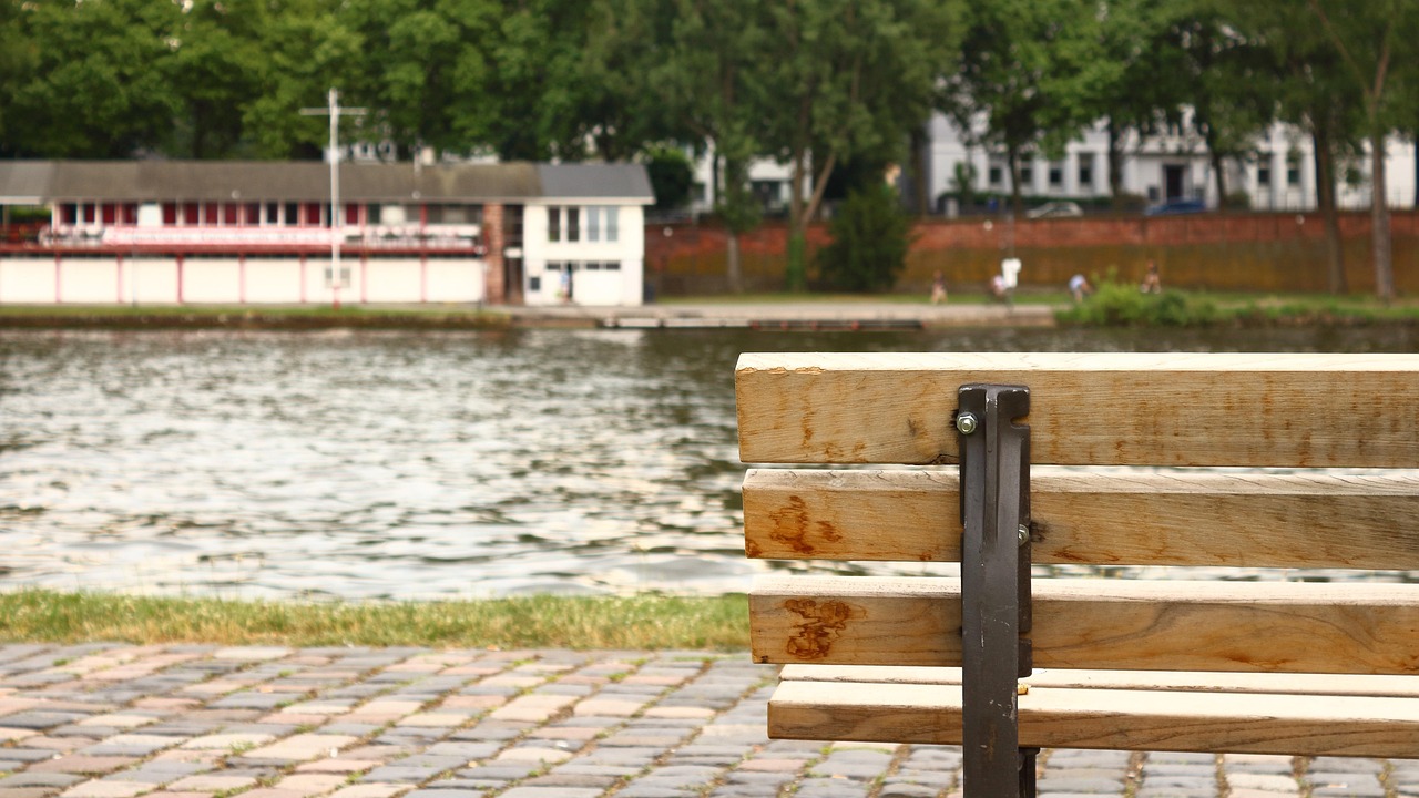 武漢最新動態(tài)，城市復蘇與未來展望