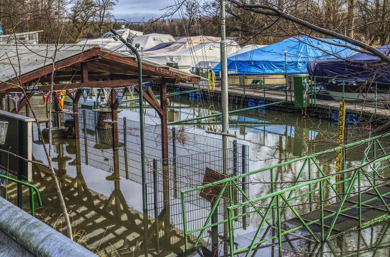 邵東紅網(wǎng)最新資訊概覽，一網(wǎng)打盡最新動態(tài)