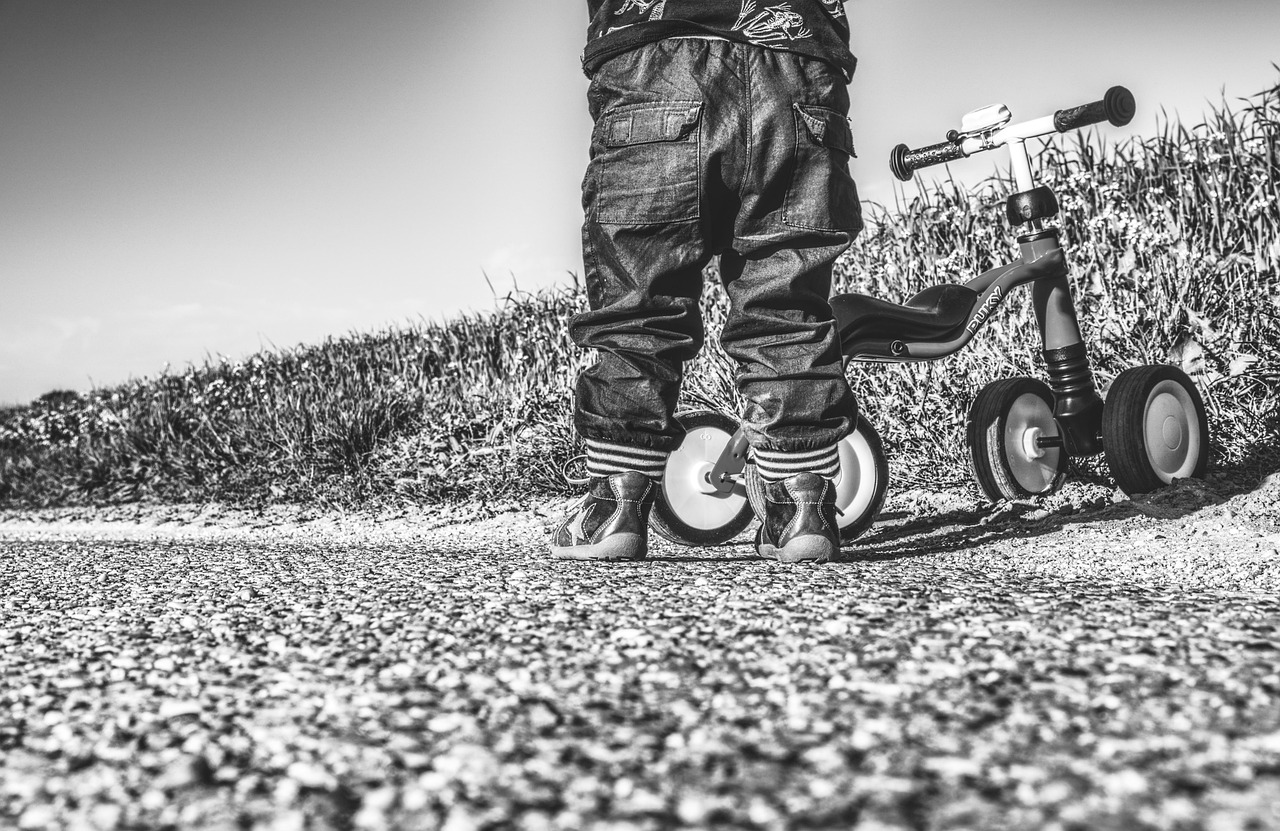 臺(tái)商區(qū)人才網(wǎng)最新職位招聘深度解析及動(dòng)態(tài)資訊