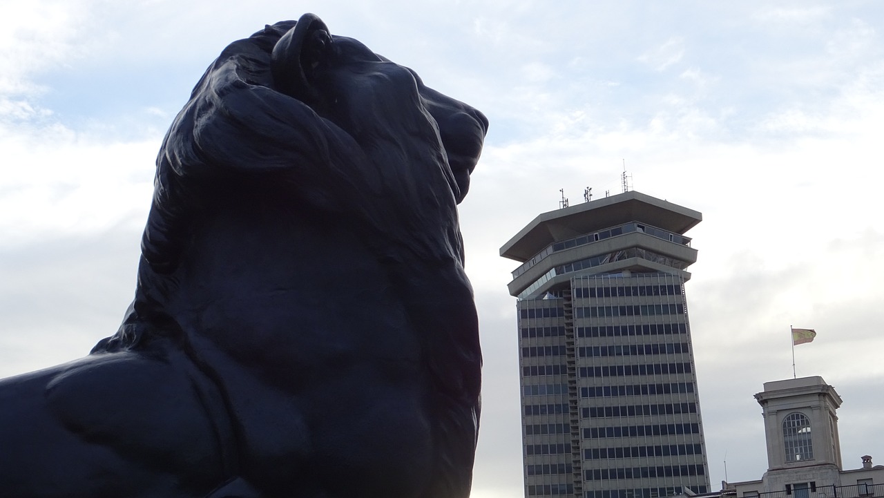 石家莊幸福城最新動(dòng)態(tài)，揭開城市新篇章序幕