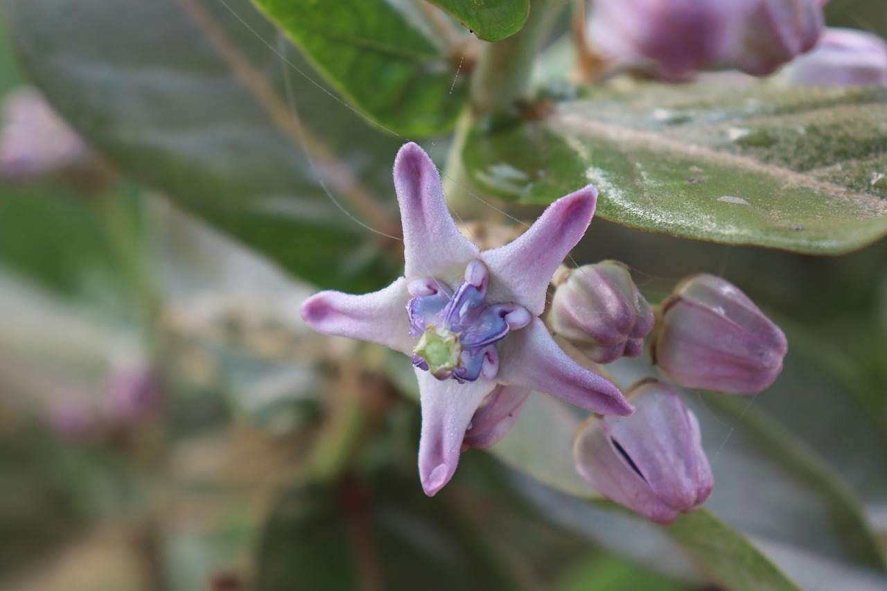 探尋聊城最新動態(tài)，新鮮資訊一網(wǎng)打盡