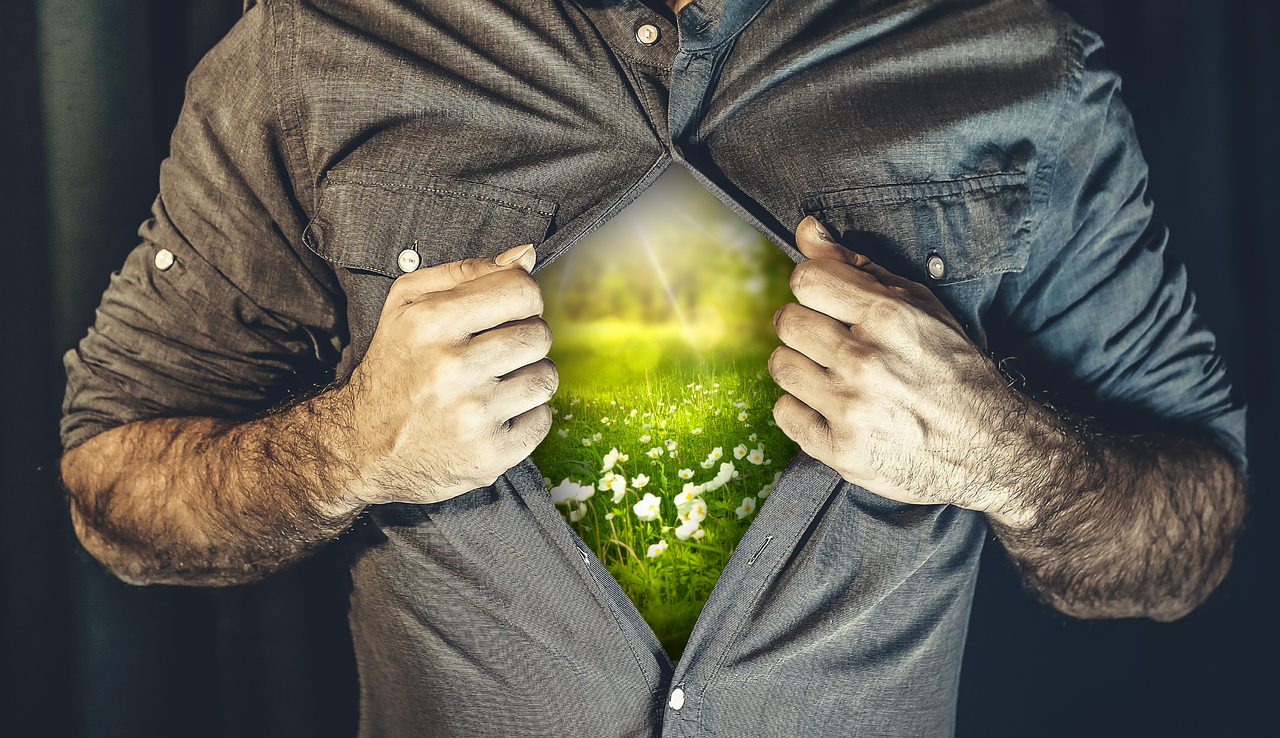 股票凈值解析，含義與重要性的深度理解