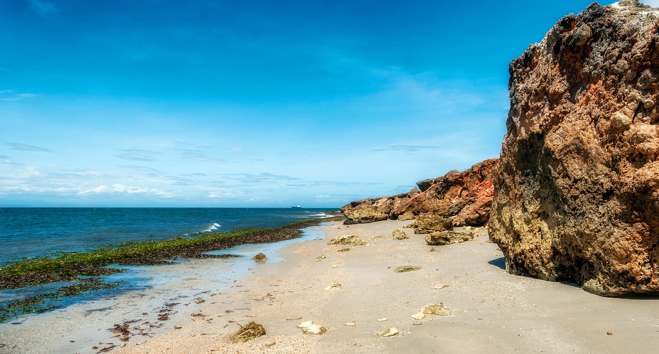 東風(fēng)軟 第4頁
