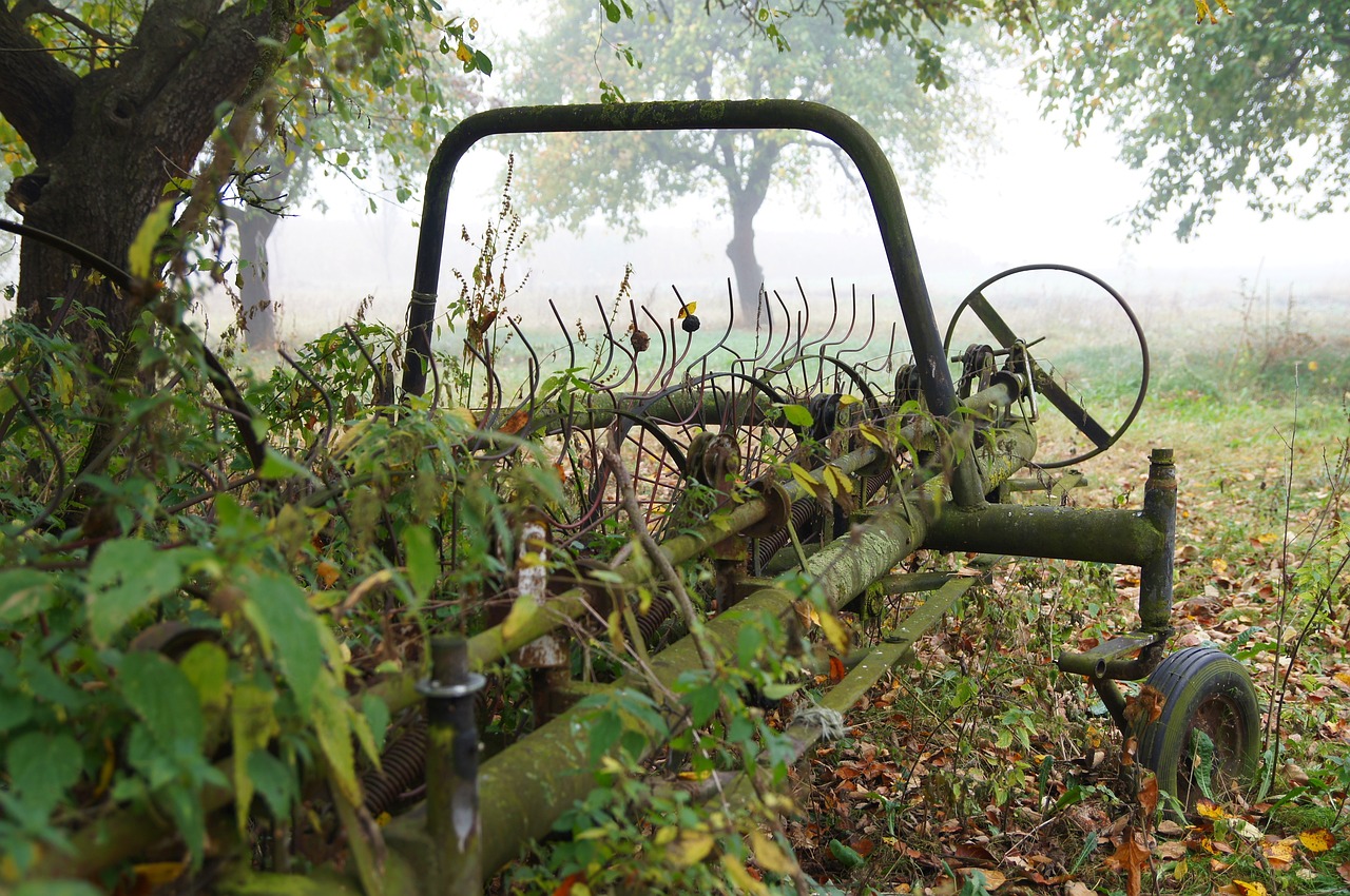 QQ農(nóng)場(chǎng)新版，數(shù)字化農(nóng)業(yè)新篇章體驗(yàn)之旅