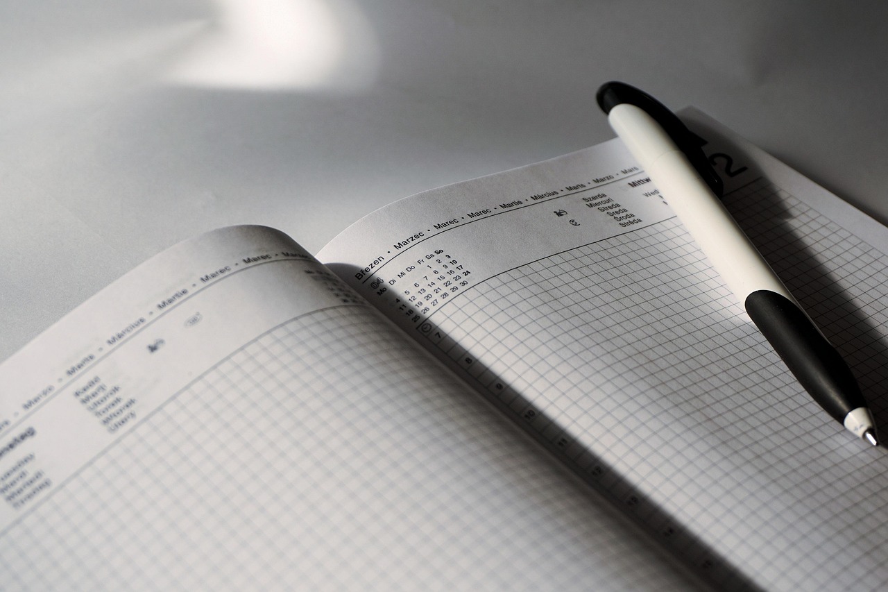 最新稅務稽查規(guī)范，構(gòu)建公正、透明、高效的稅收環(huán)境