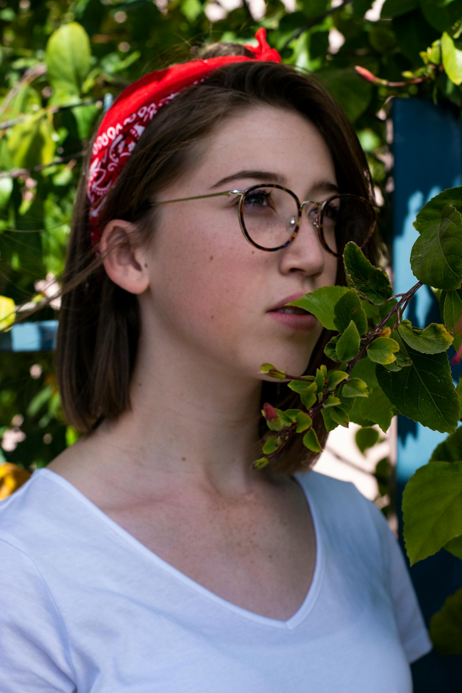 探索自然之美，花海趕海新動(dòng)態(tài)揭秘