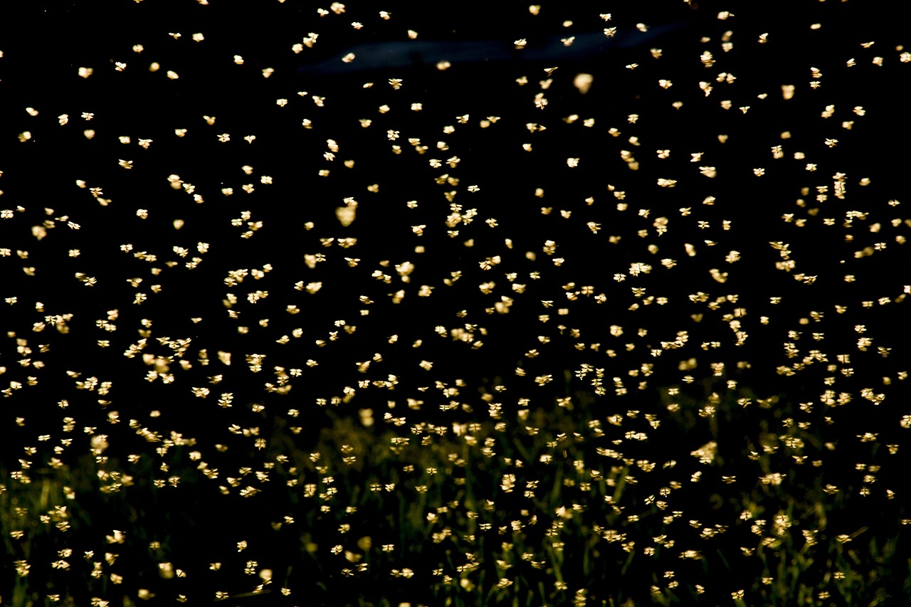 億晶光電股票，深度探索與未來(lái)前景展望