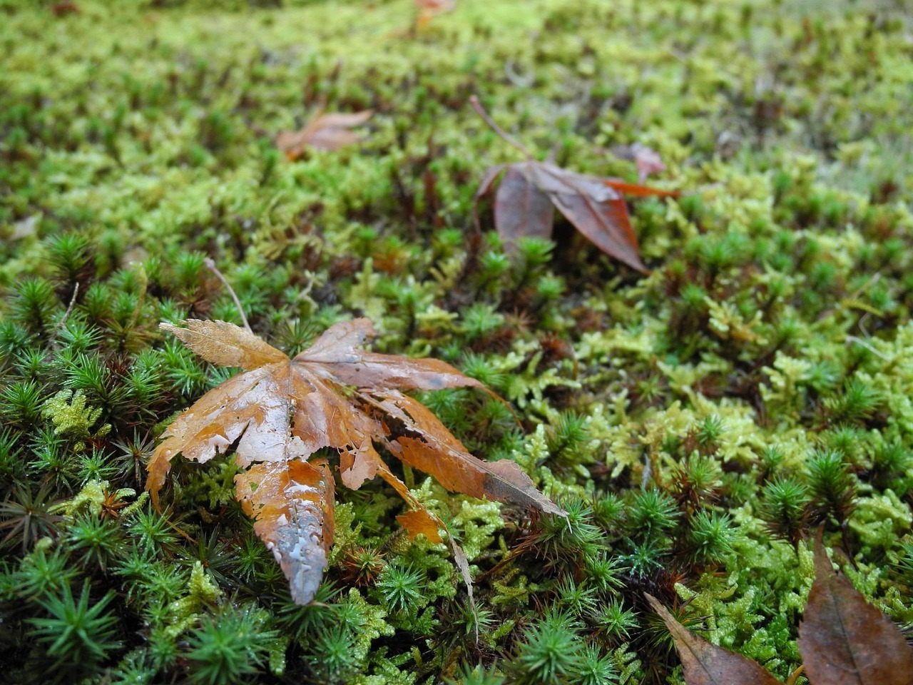社會(huì)熱點(diǎn)資訊速覽，聚焦時(shí)事動(dòng)態(tài)，洞悉社會(huì)脈搏。
