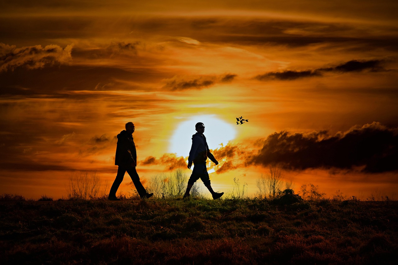 朋友的妻子電影，獨特文化現(xiàn)象的深度探索