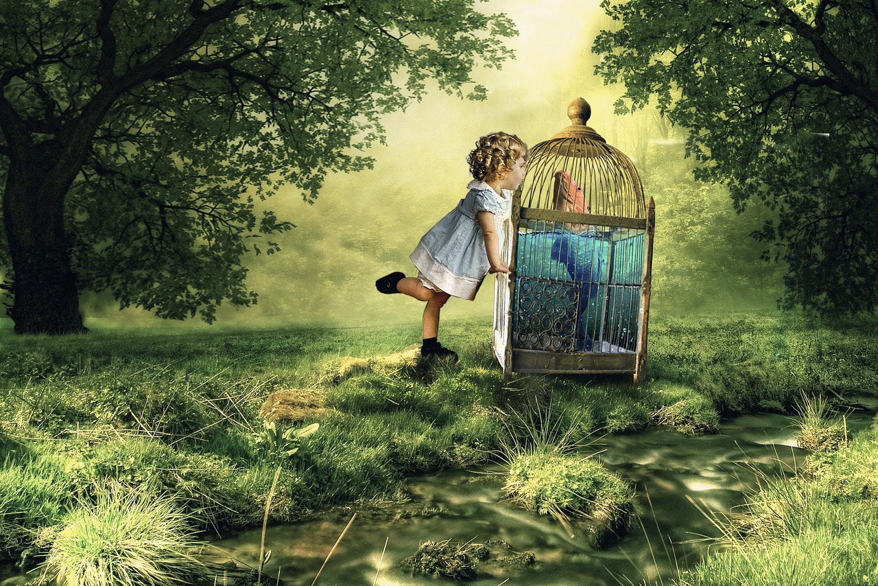 烏龜動漫圖片的魅力與深遠(yuǎn)影響